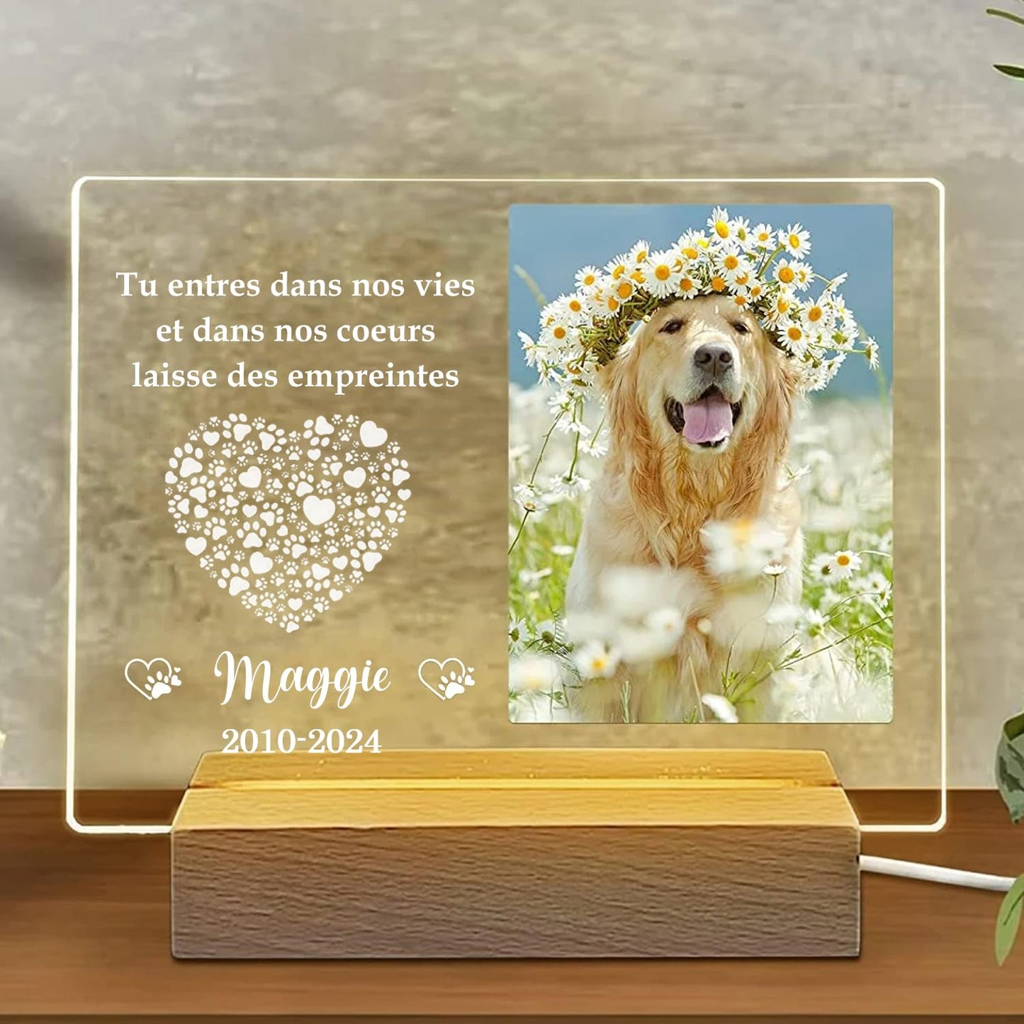 Personalized Dog Memorial Gifts for Loss of Dog - Pet Memorial Plaque Custom Photo Night Lights, Pets Bereavement Gifts Loss of Pet Gift, Style 4