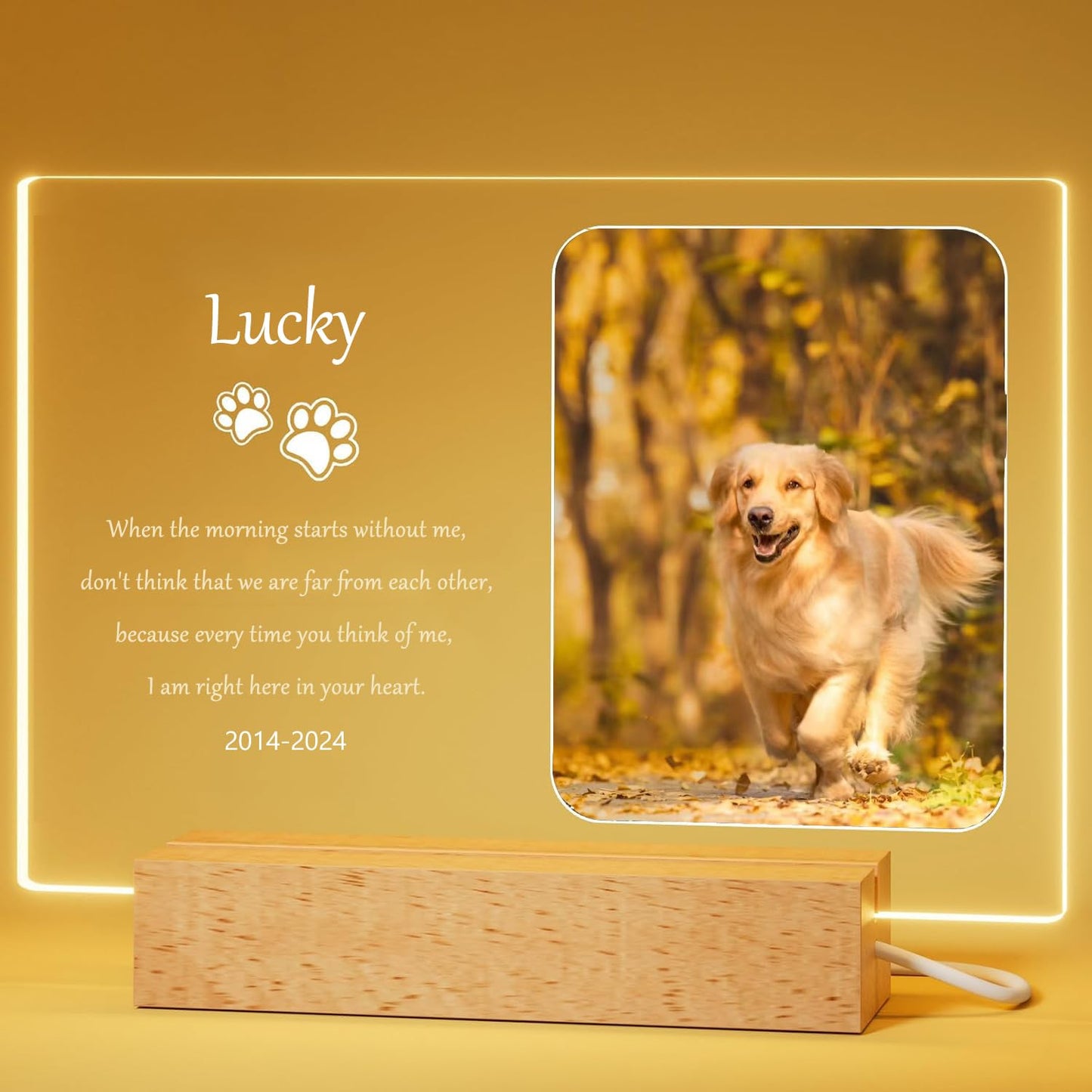 Personalized Dog Memorial Gifts for Loss of Dog - Pet Memorial Plaque Custom Photo Night Lights, Pets Bereavement Gifts Loss of Pet Gift, Style 4