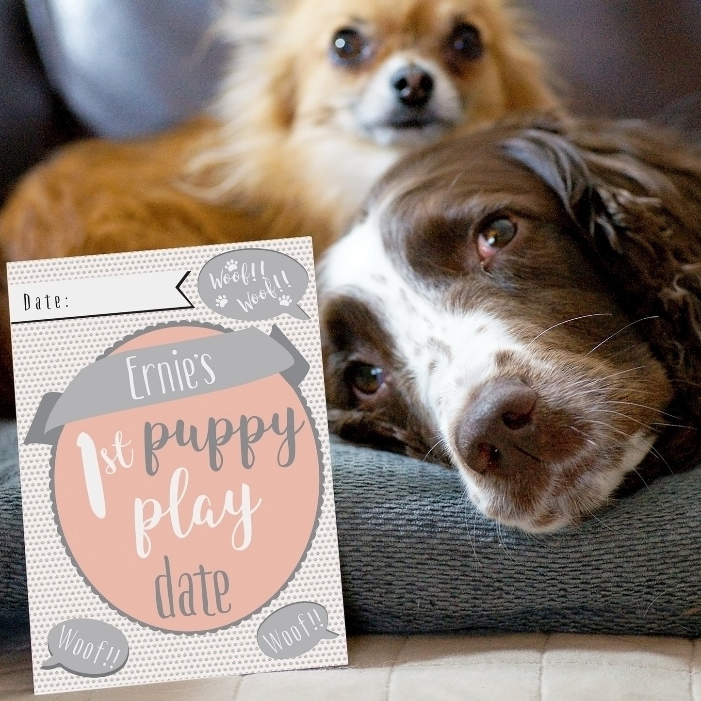 Personalised Puppy Cards: For Milestone Moments