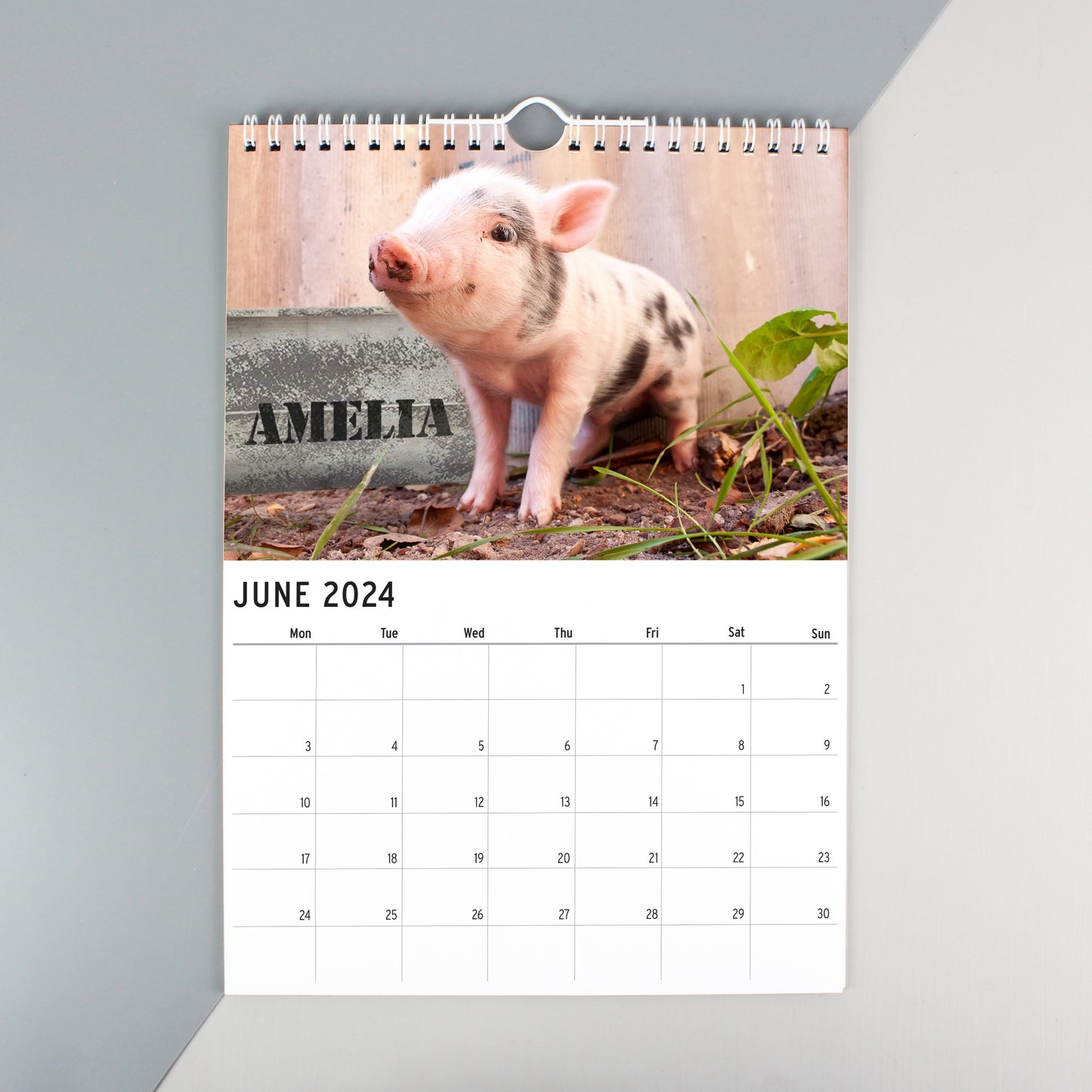 Personalised A4 Cute Animals Calendar