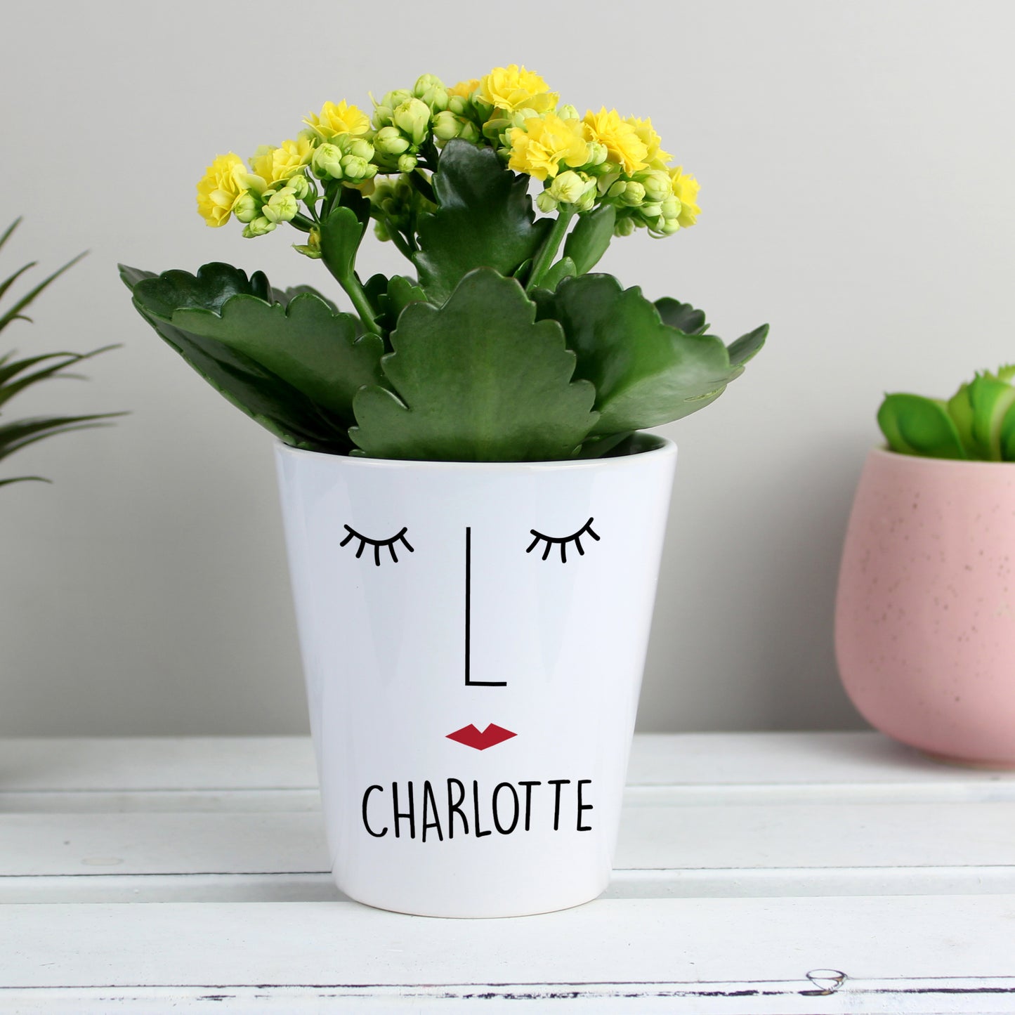 Personalised 'Mrs Face' Plant Pot