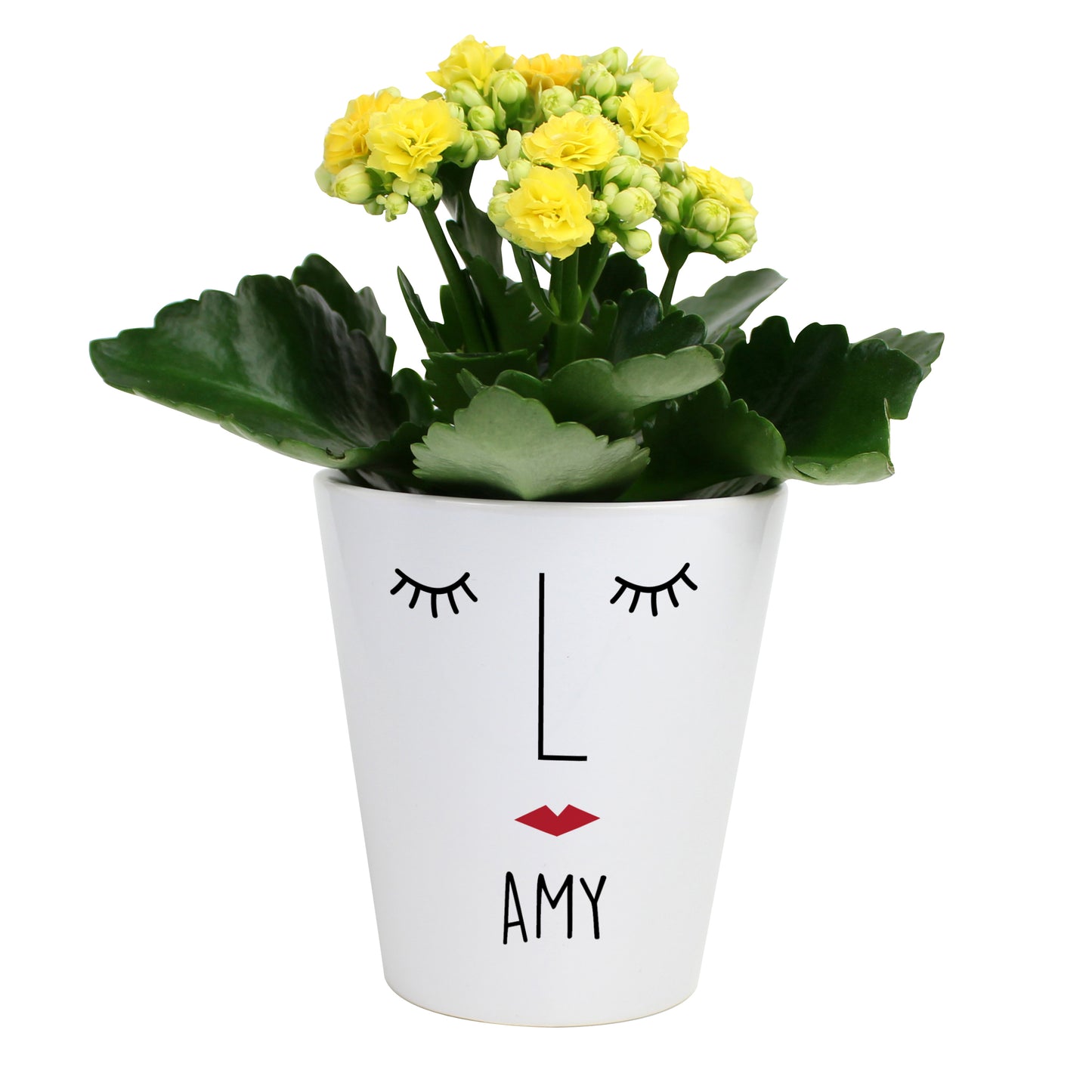 Personalised 'Mrs Face' Plant Pot